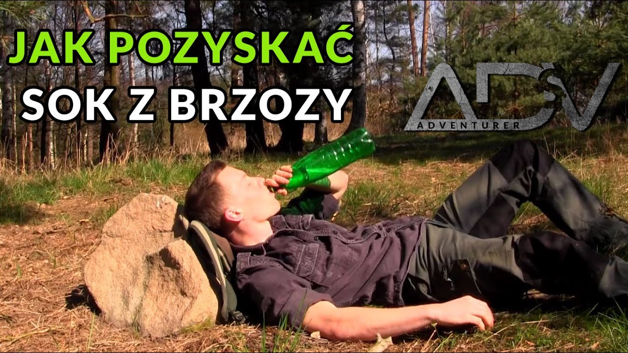Jak pozyskać SOK Z BRZOZY