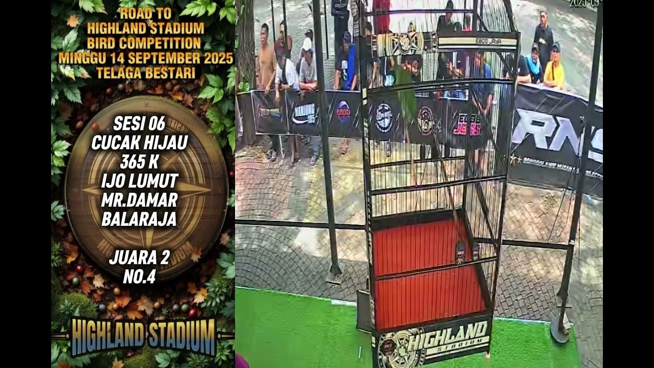JUARA 2 IJO LUMUT MR.DAMAR BALARAJA
