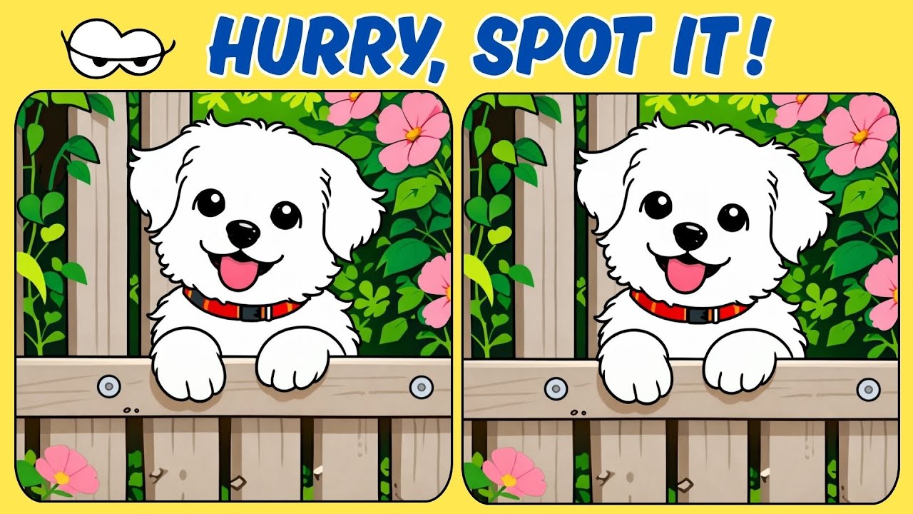 🧠🧩Spot the Differences : How Fast Can You Spot It?🧠🧩Brain Bang Bang