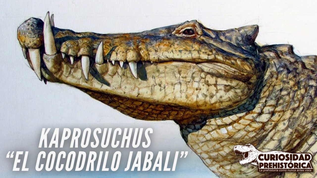 ¡La aterradora cruza entre un cocodrilo y un jabalí! - KAPROSUCHUS