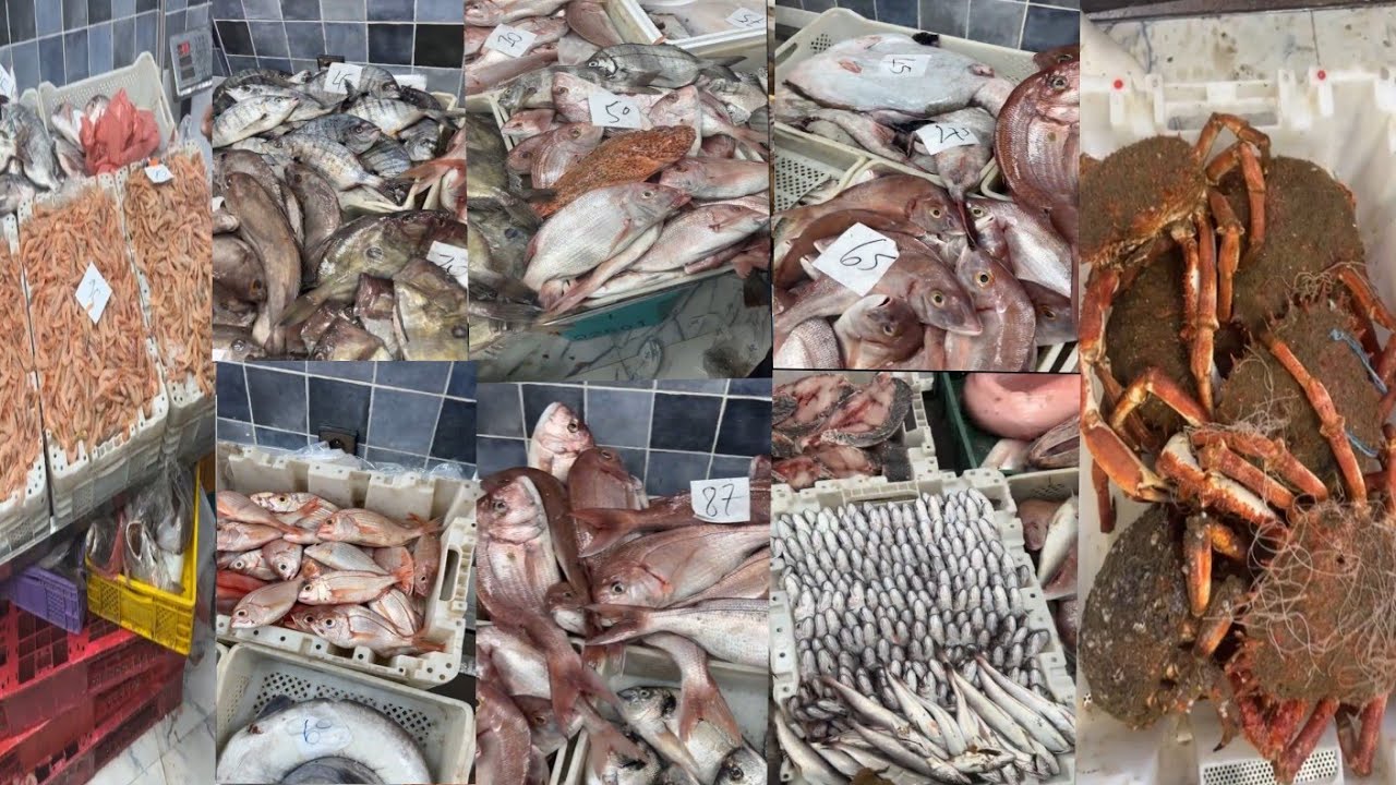 ثمن السمك بالمغرب🐠🦐اليوم الاربعاء 11 مارس2026#المغرب🇲🇦#سوق_المغربPoisson de qualité à prix abordable