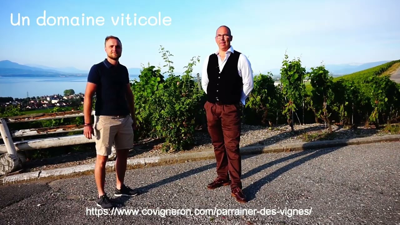 Domaine Les Revents - Covigneron