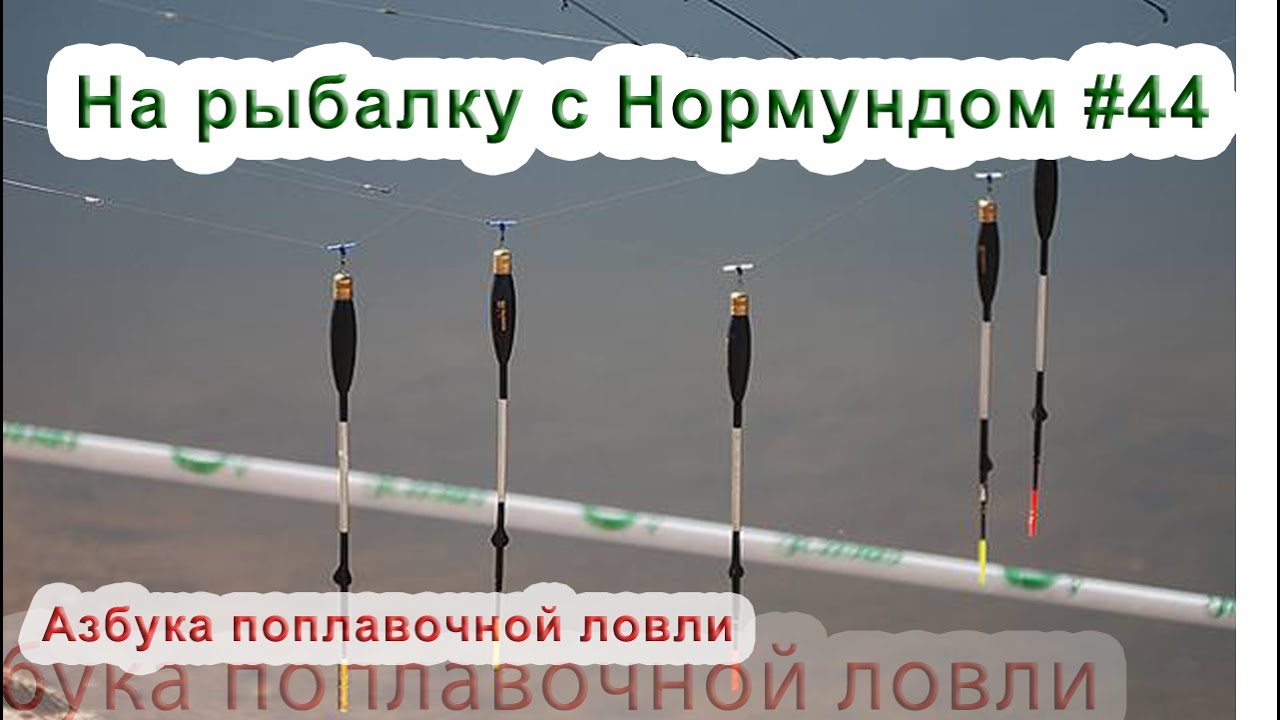 Азбука поплавочной ловли : На рыбалку с Нормундом #44