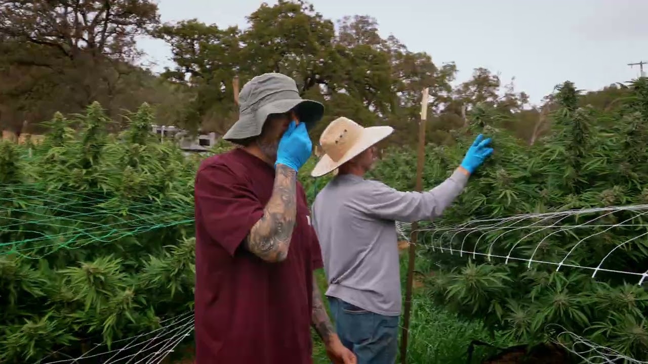Croptober 2025