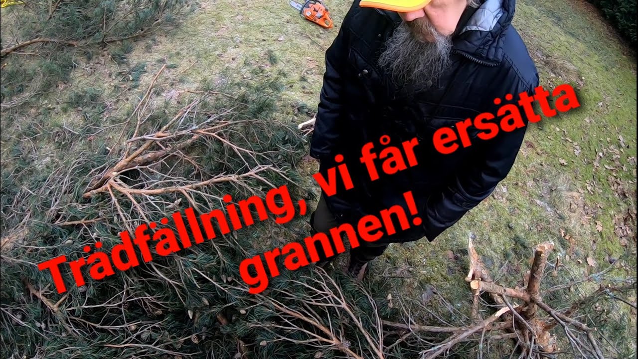 Trädfällning går fel, vi får ersätta grannen!