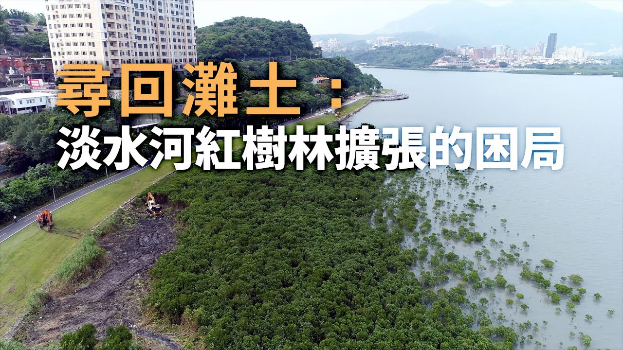 【濕地生態】尋回灘土：淡水河紅樹林擴張的困局 (我們的島 1154集 2022-05-02)