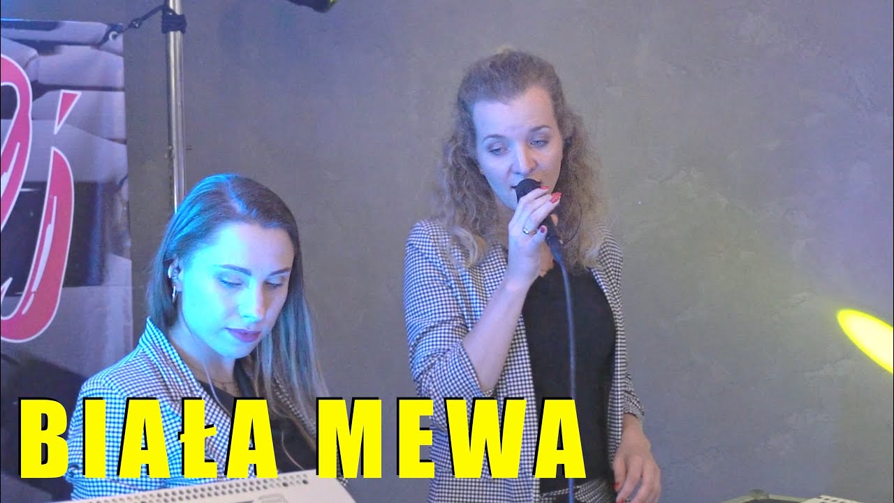 HiT SANOK - Biała mewa