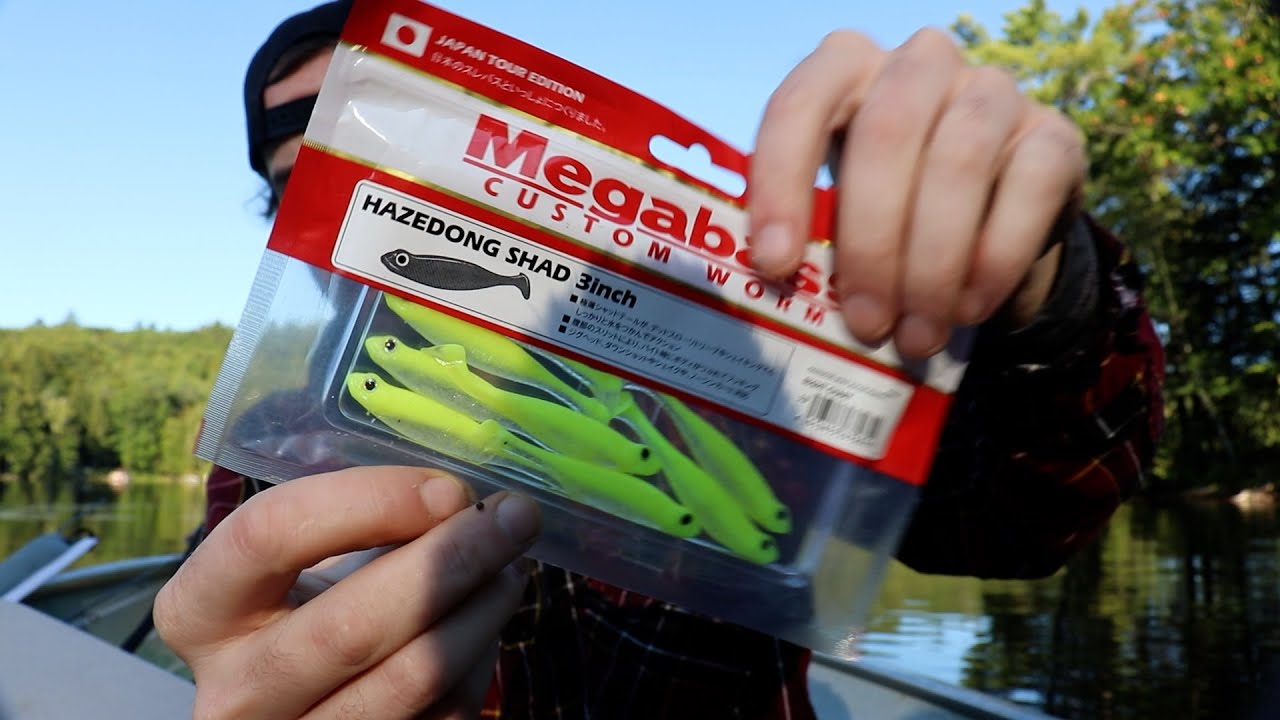 Drop-Shotting Megabass Hazedong Shad on Light Tackle (Sight Chartreuse)