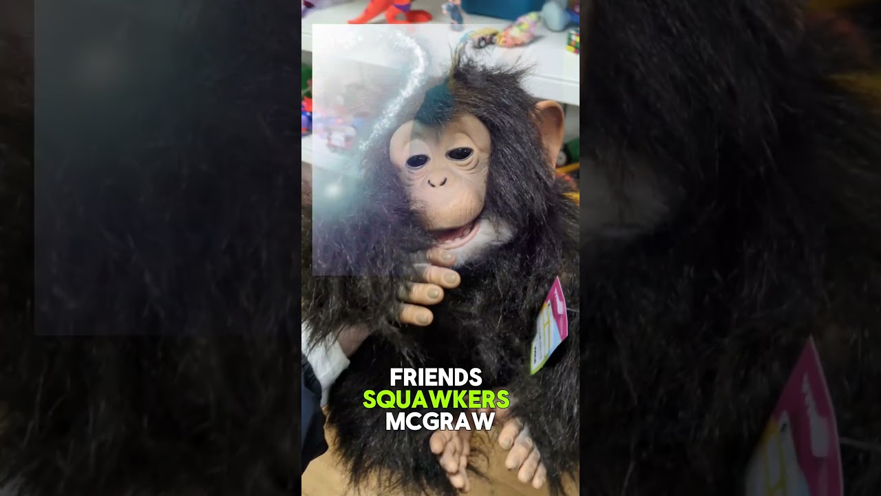 Находка в благотворительном магазине за 5 фунтов&hellip; Но попугая продали за 169 фунтов! 🦜 #находкивбл...