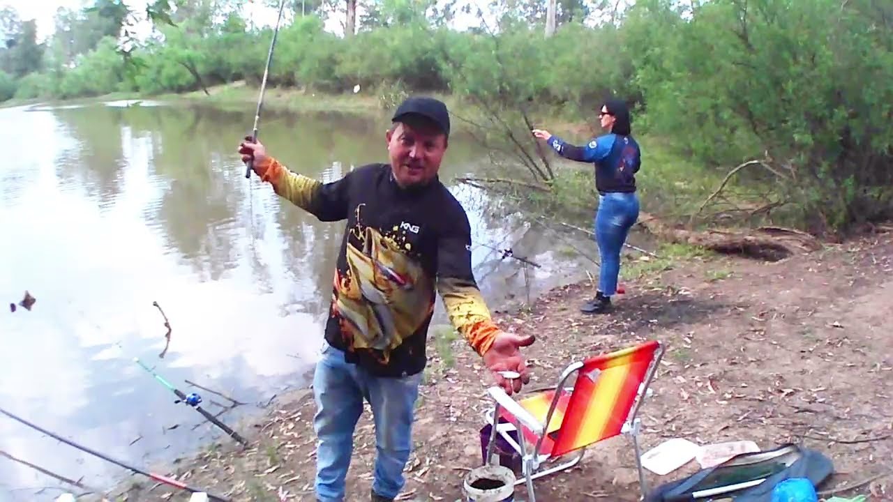  “Peguei um BAGRE GIGANTE! A Maior Captura do Canal Fisgada Perfeita!”👉 #pescaria #fishing #nature 