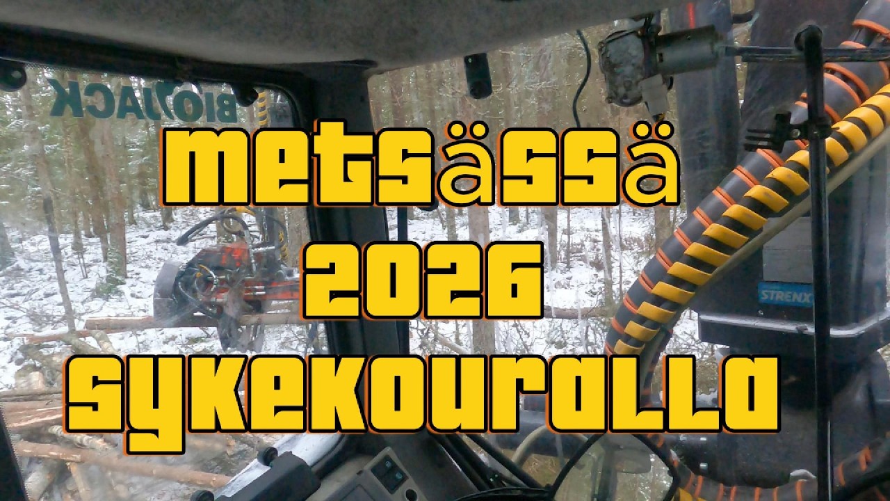 Metsätyöt 2026 vauhdissa sykekouralla