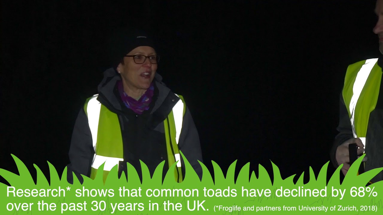 Hensting Lane Toad Patrol