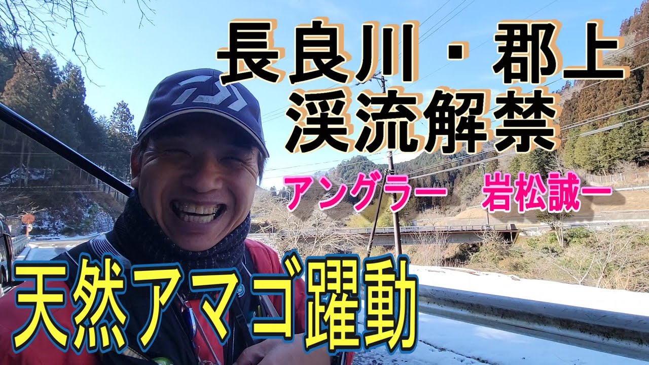 【長良川・郡上　渓流解禁】アマゴ釣り　天然躍動