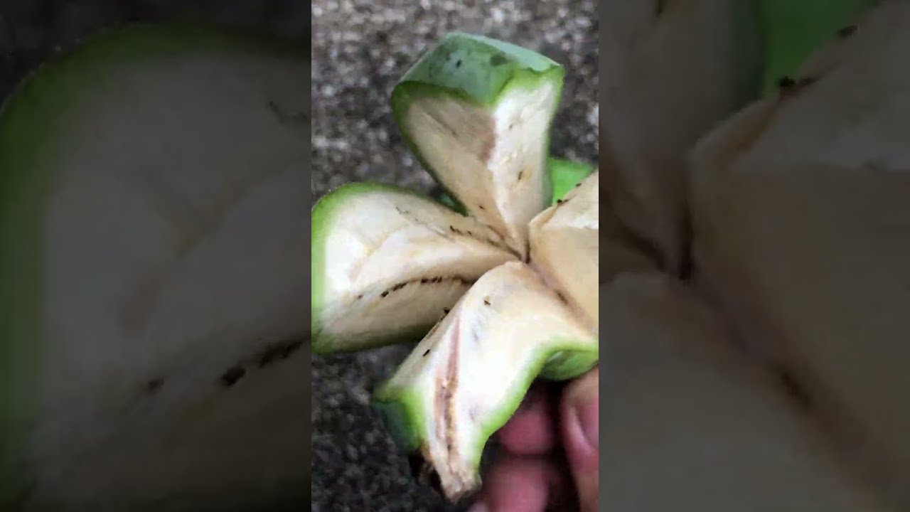 #0039 Videos Relax with​ Split bananas into four #amazing #Bananas #ផ្លែចេក