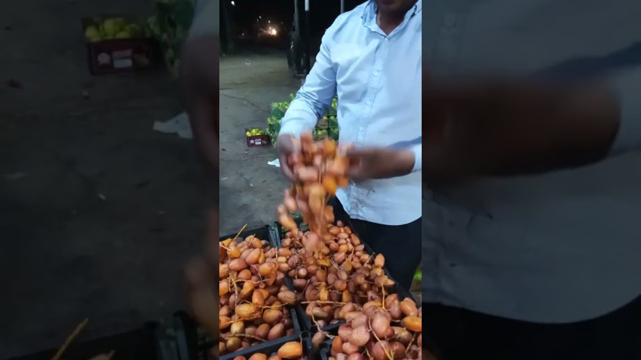 البلح الزغلول والسماني فواخر على حق