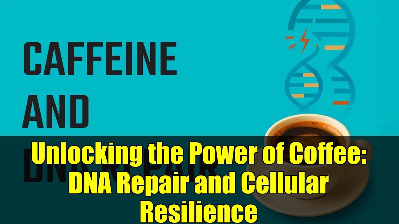 Unlocking the Power of Coffee: DNA Repair and Cellular Resilience