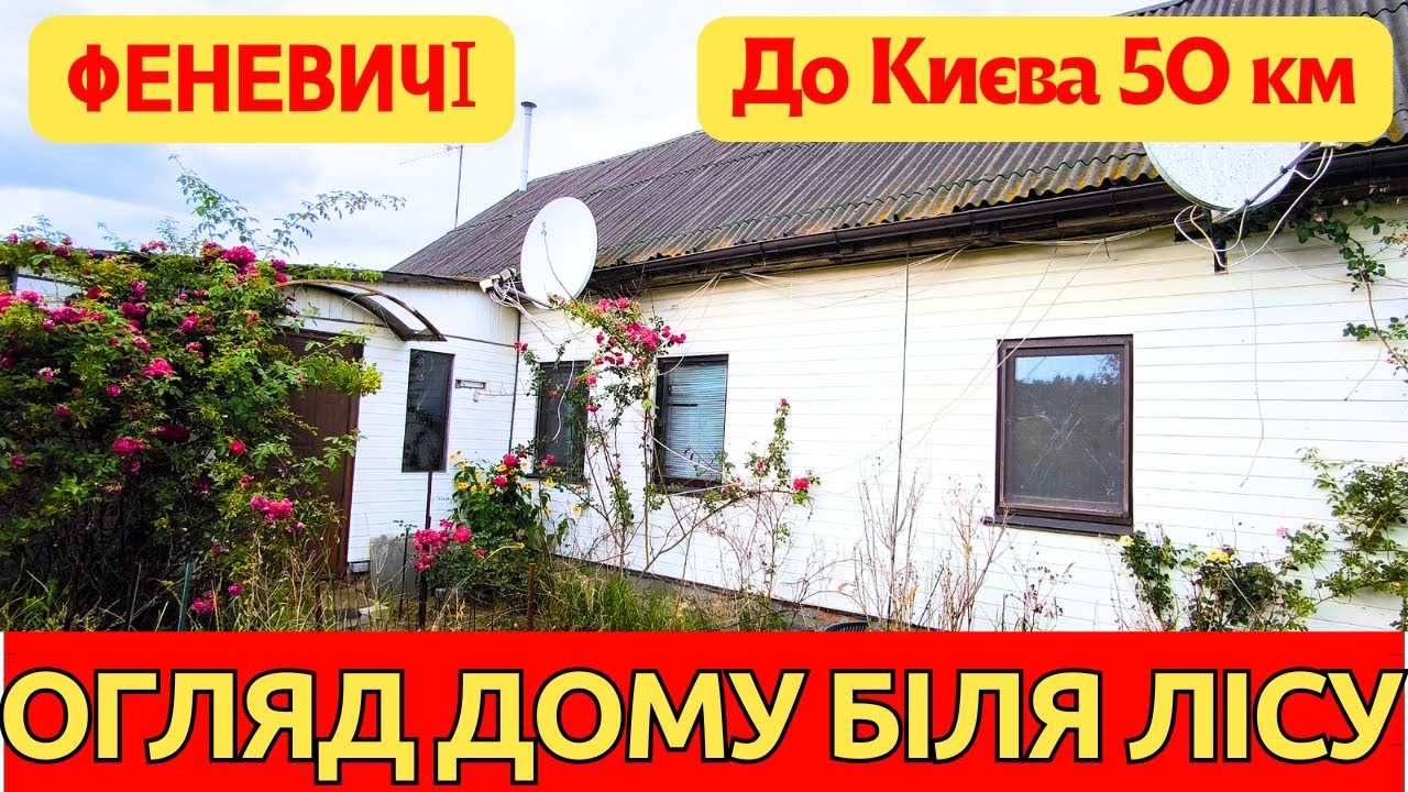 Правдивий огляд  будинку біля лісу в селі Феневичі