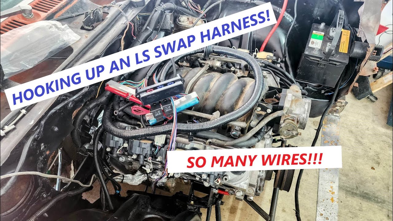 How To Hook Up An LS Swap Wiring Harness!