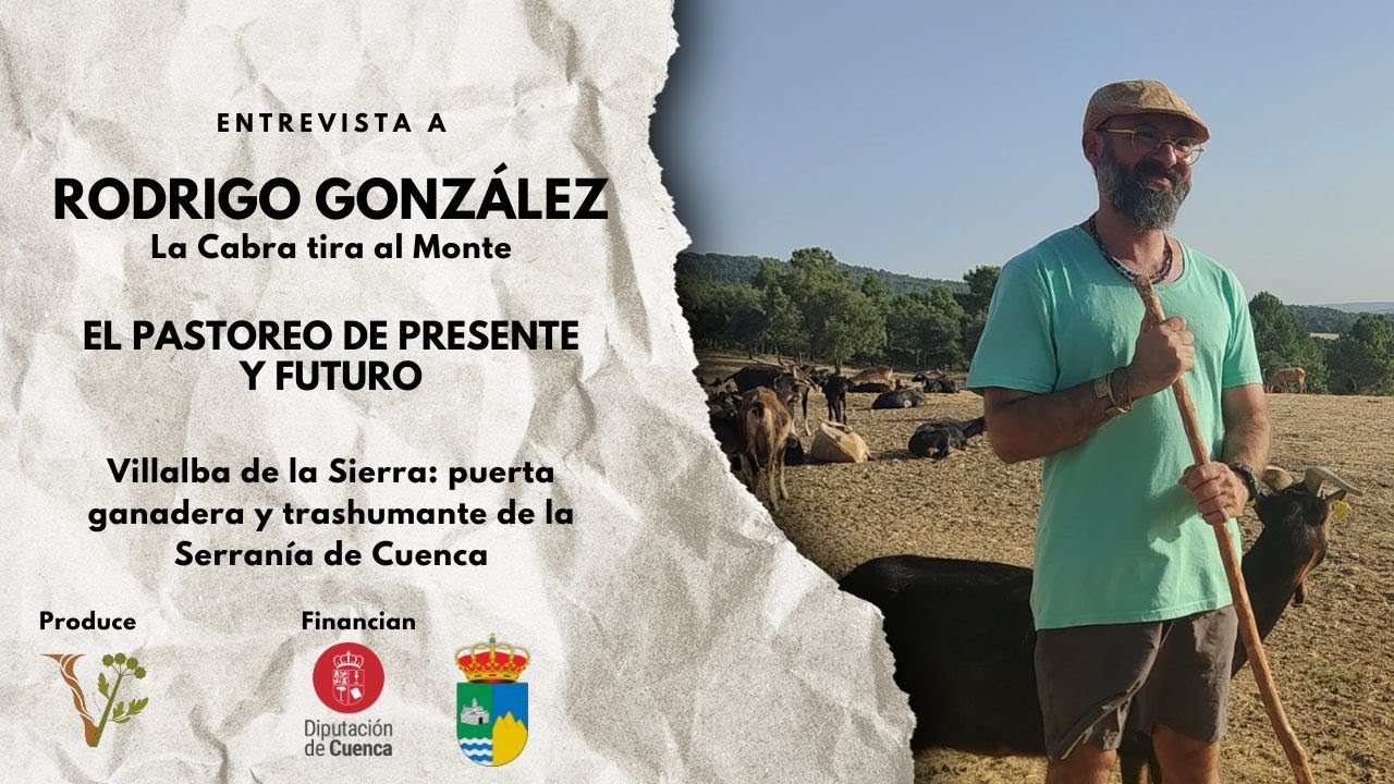 El PASTOREO de PRESENTE y FUTURO en Villalba de la Sierra, con Rodrigo González