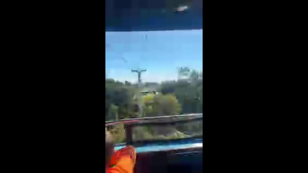 SDVIBEZ запущен!