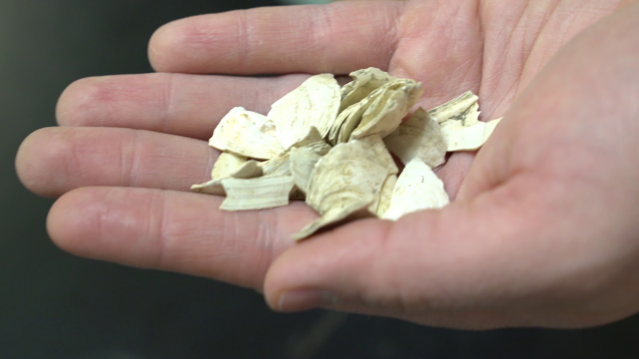 Boston Uncovered: Native American artifacts