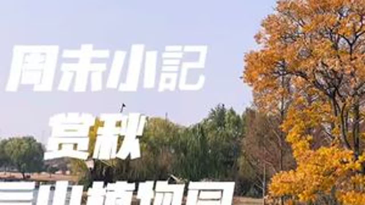 12月17日，打卡上海辰山植物园，本想着是来赏秋叶的，没想到树叶都掉落的差不多了，也只能是欣赏一下辰山植物园的冬景了。。#辰山植物园 #vlog日常 #水杉 #倾听大自然的声音 #打卡