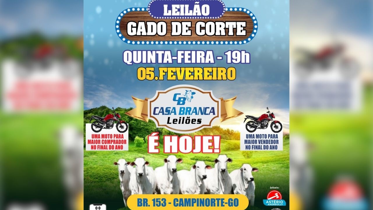LEILÃO DE GADO DE CORTE CASA BRANCA LEILÕES  -  CAMPINORTE - GO 05/02/2026