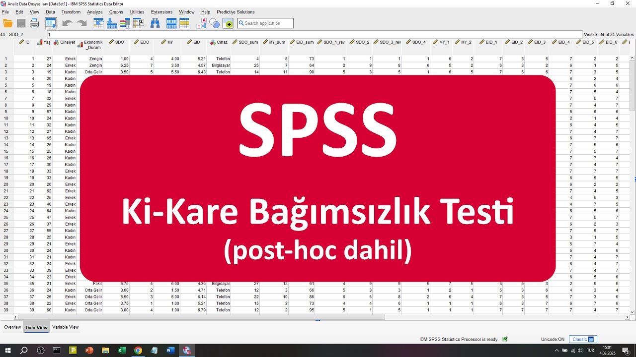 SPSS ile Ki-Kare Bağımsızlık Testi (post-hoc dahil)