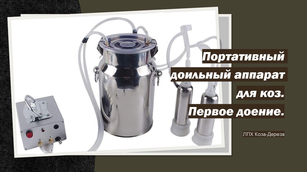 Дойка коз ДОИЛЬНЫМ АППАРАТОМ и кормление козочки Снежки.