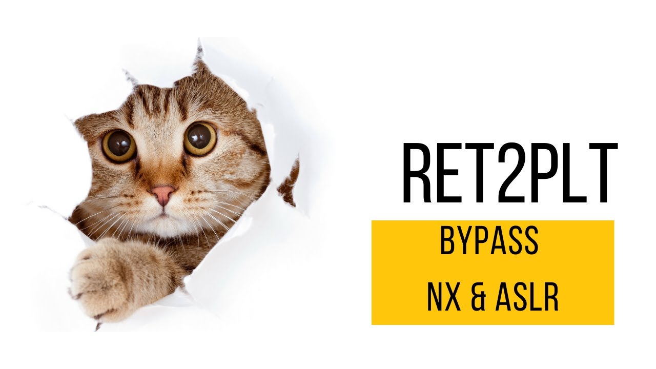 Ret2plt to bypass NX and ASLR in Linux x64