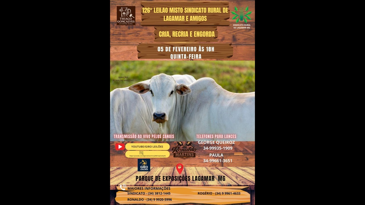 Leilao Sindicado Rural de Lagamar e Amigos 05-02-2026