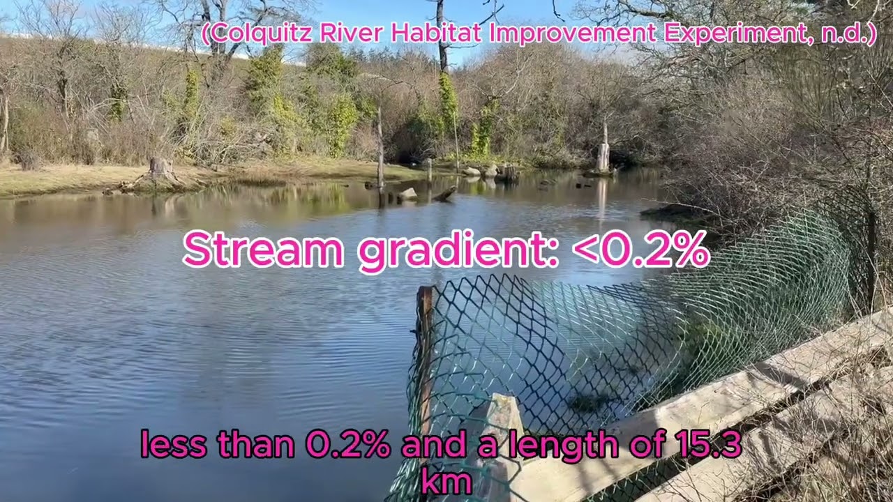 Colquitz Creek