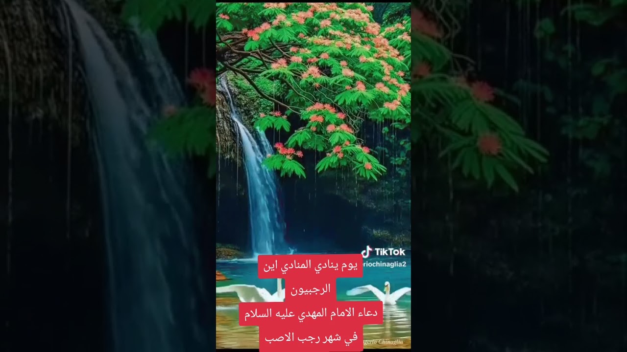 دعاء الامام المهدي في شهر رجب
