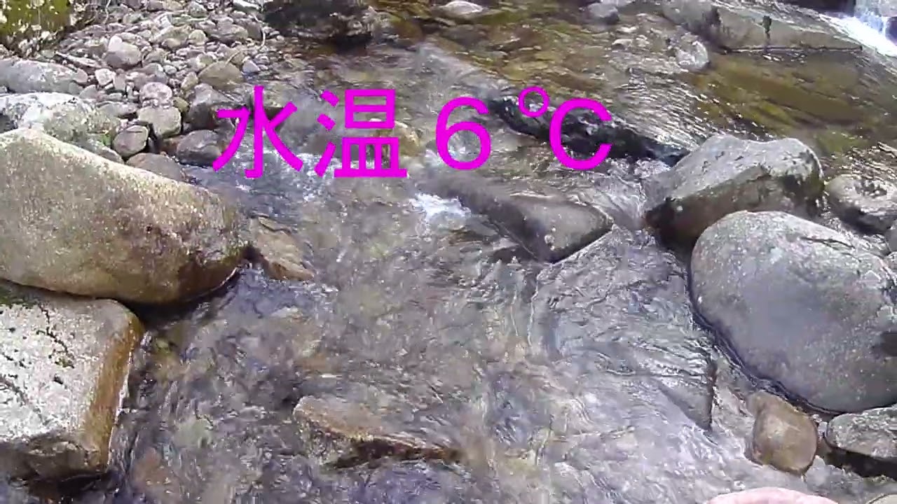 木曽上松小川支流中ノ沢川2026 3 14