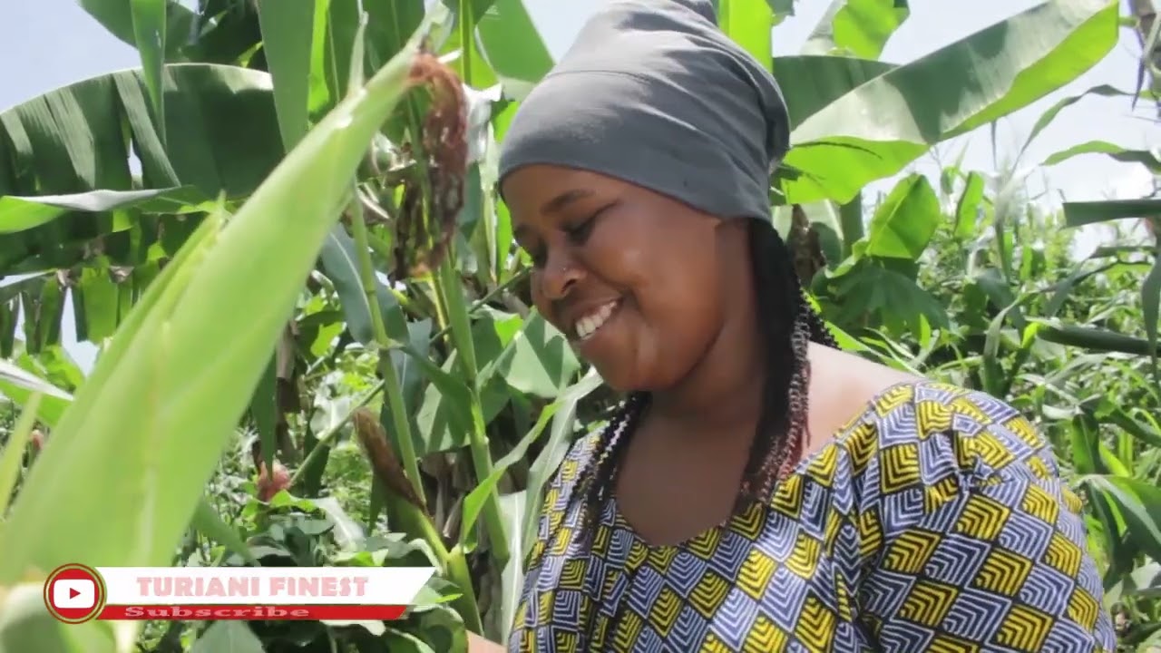 Shemeji Mchawi episode 3 Turiani finest #kicheche  #snakeboy #movie #mwakatobe  clam vevo