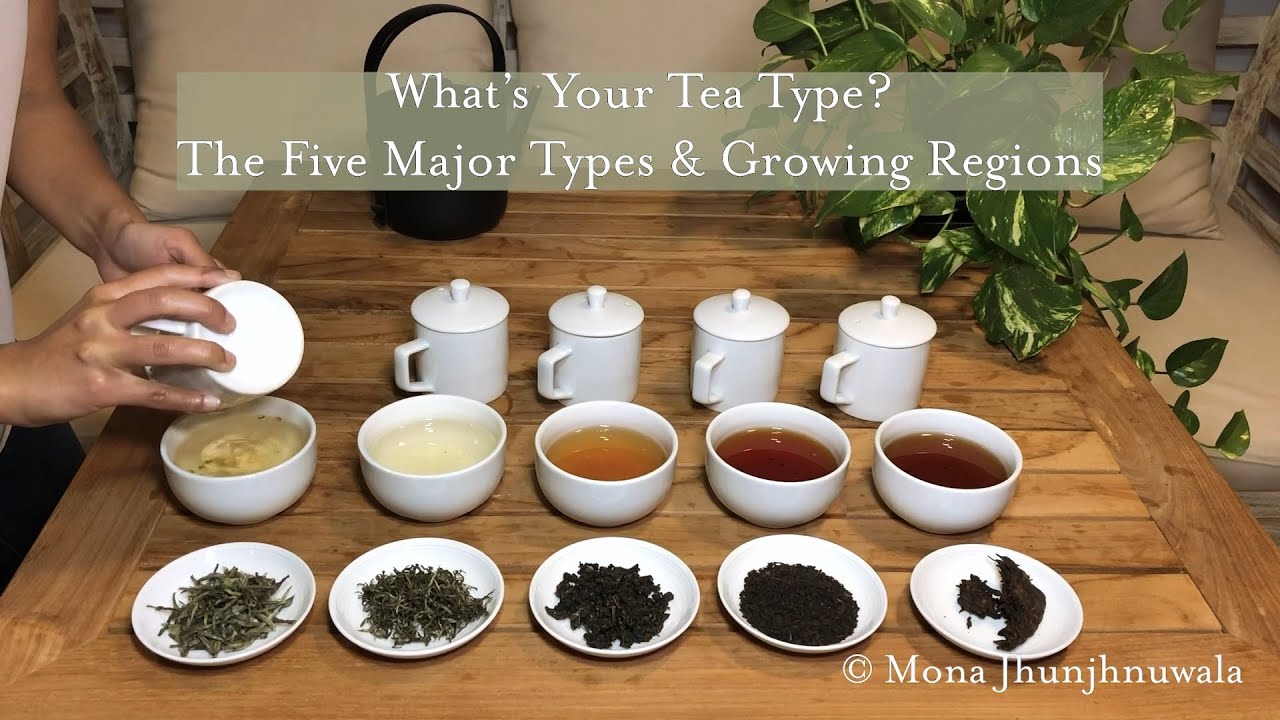 An Intro to Camellia Sinensis: What's Your Tea Type?