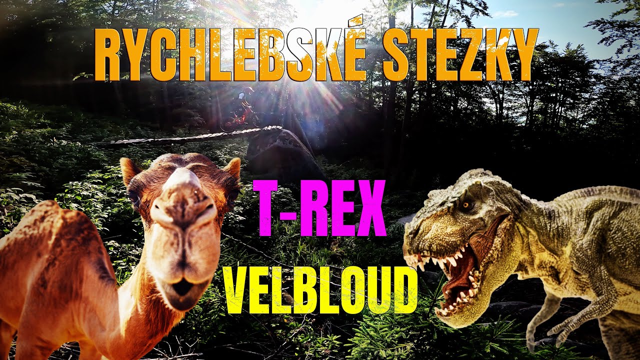 Rychlebské Stezky T-Rex & Velbloud
