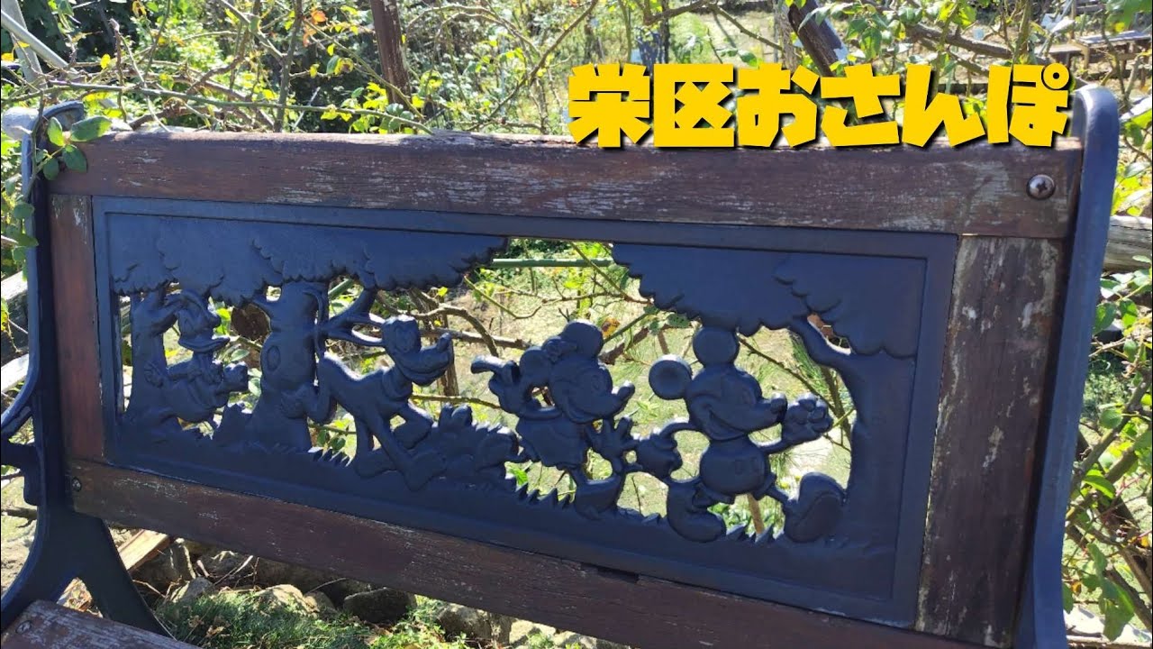 421  栄区おさんぽ　久しぶりにたくさん歩く①