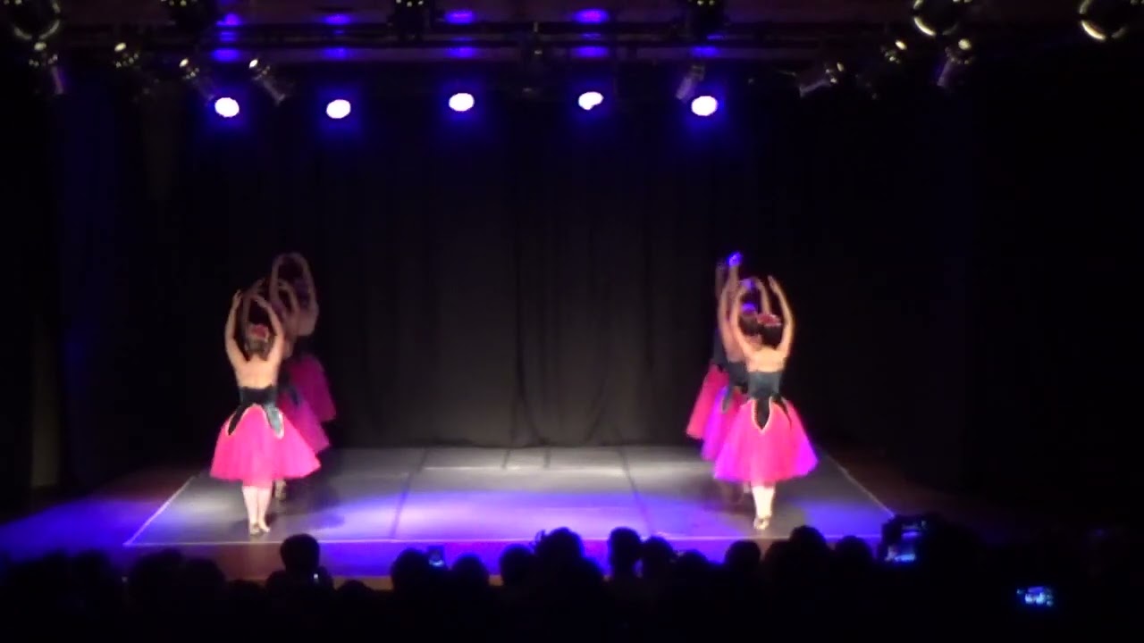 Gala 2024