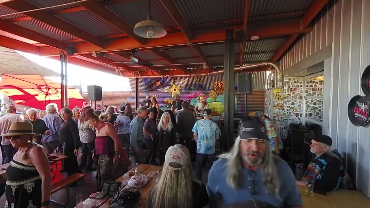 12 Anyday  (Tedeschi Trucks) Cover by One More Silver Dollar Band (OMSD)