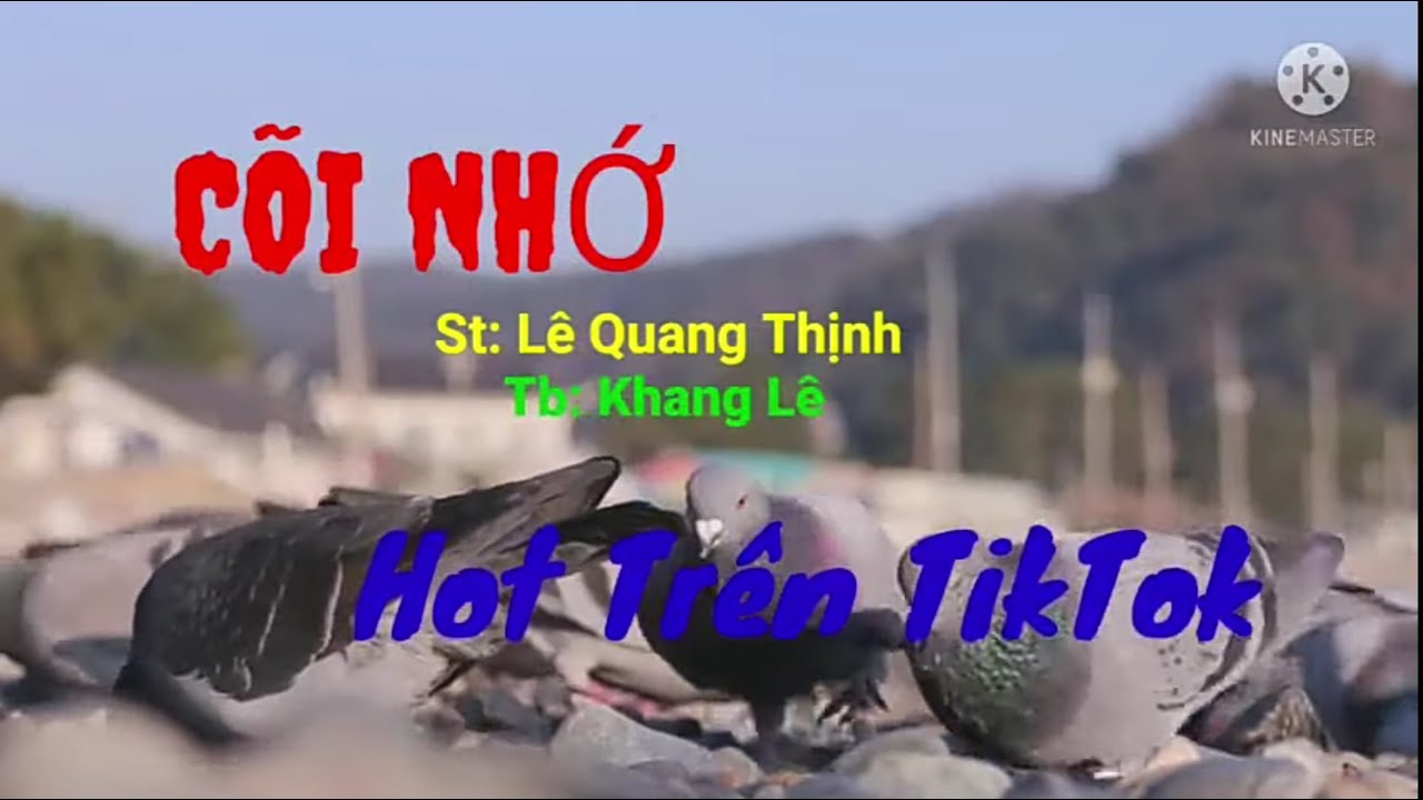 C&Otilde;I NHỚ {ĐỘC LẠ} II CA SĨ KHANG L&Ecirc; {H&Oacute;T TIKTOK} II L&Ecirc; QUANG THỊNH.