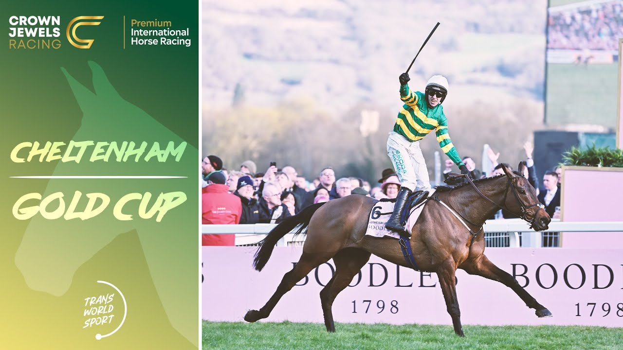 International Horse Racing | Cheltenham Gold Cup 2025 🏇