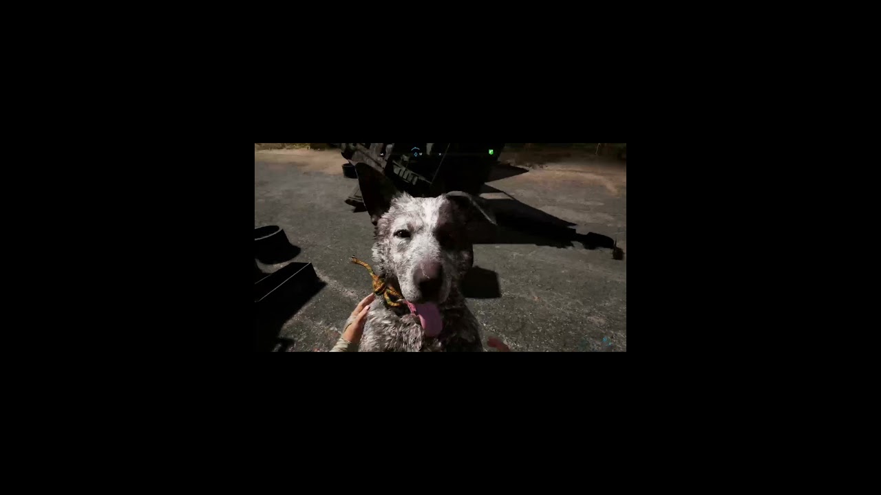 Rip Dog | Far Cry 5