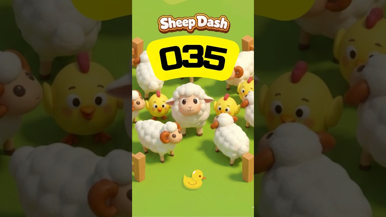 【Sheep Dash】35