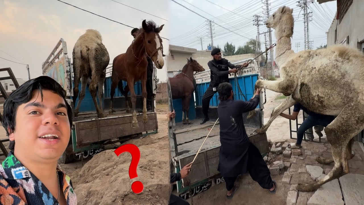 Dilbar Kaha Ko ja Rha Ha ?