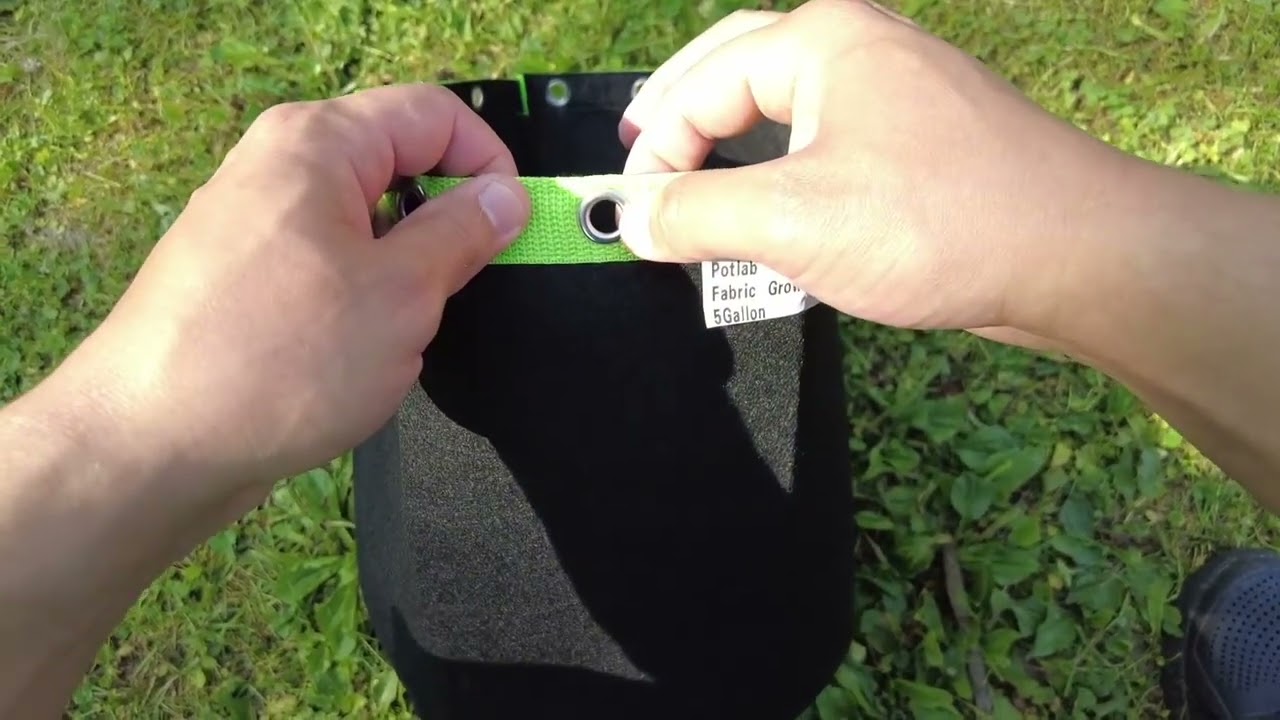 Pot Lab 5 Gallon Fabric Grow Pots Review &ndash; LST Training & Durable Design!