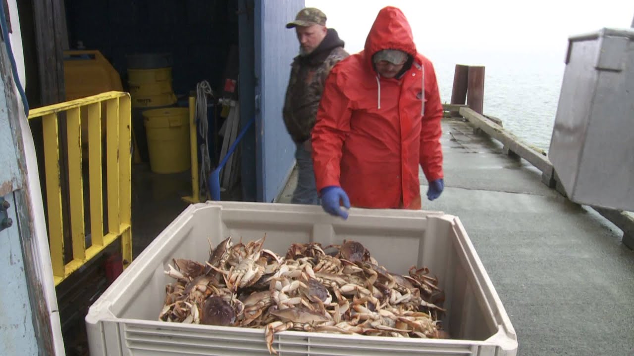Grant's Getaways:  Winter Crabbing in Oregon