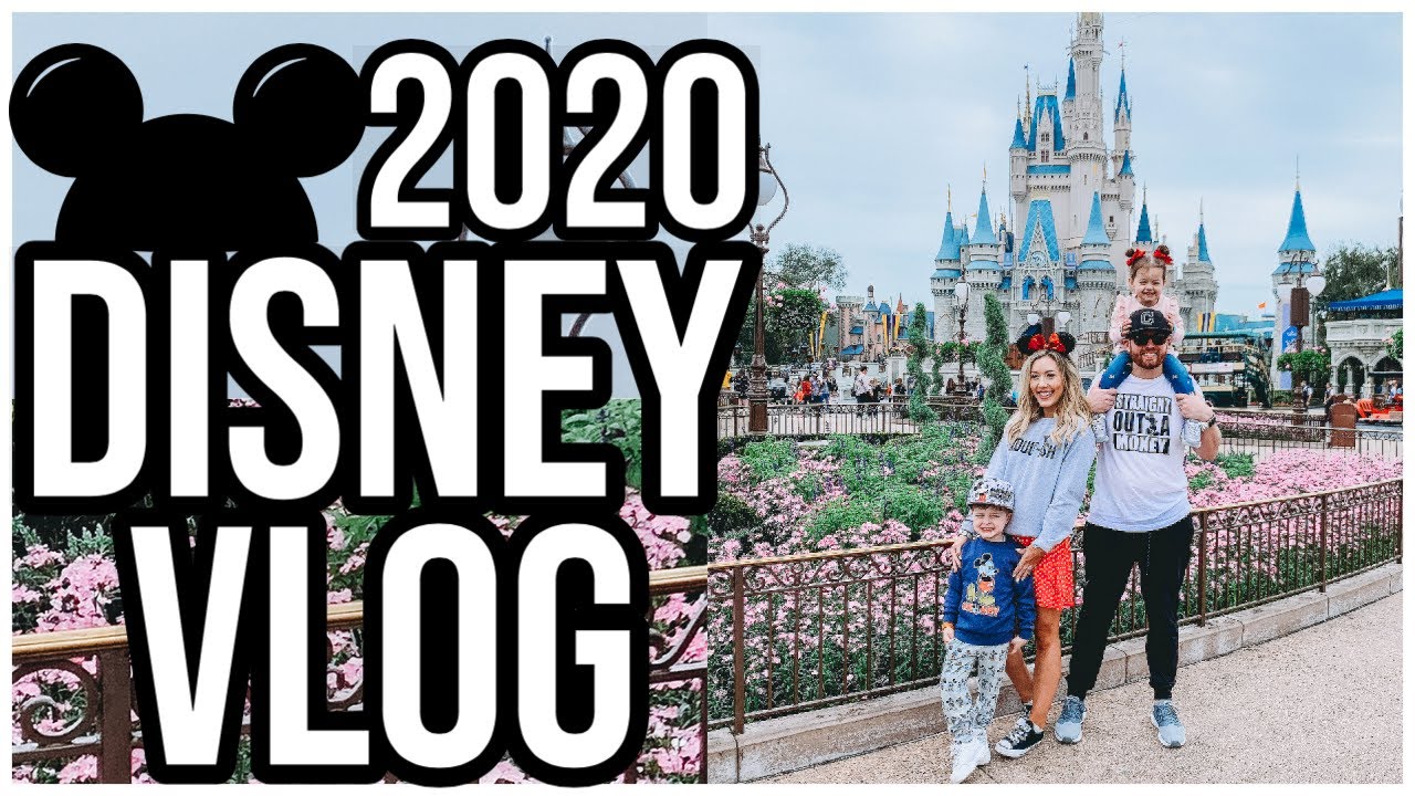 2020 DISNEY WORLD VLOG! @BriannaK  bitsofbri DISNEY VLOG!