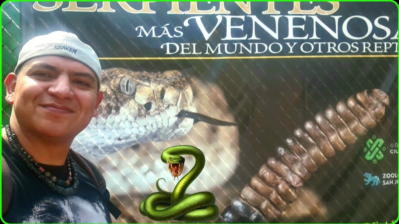 El herpetario m&aacute;s grande de CDMX, serpientes venenosas y m&aacute;s (Zool&oacute;gico de San Juan de Arag&oacute;n) -1-