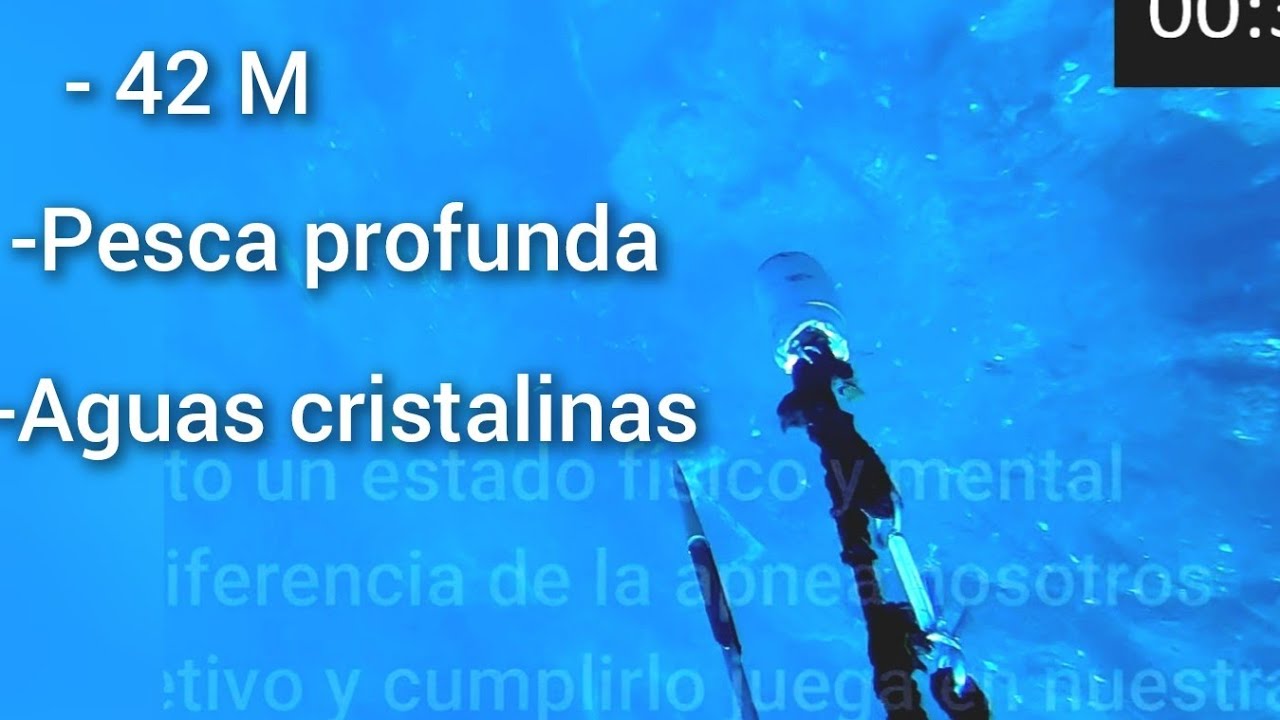 Pesca submarina, recopilatorio de un verano 